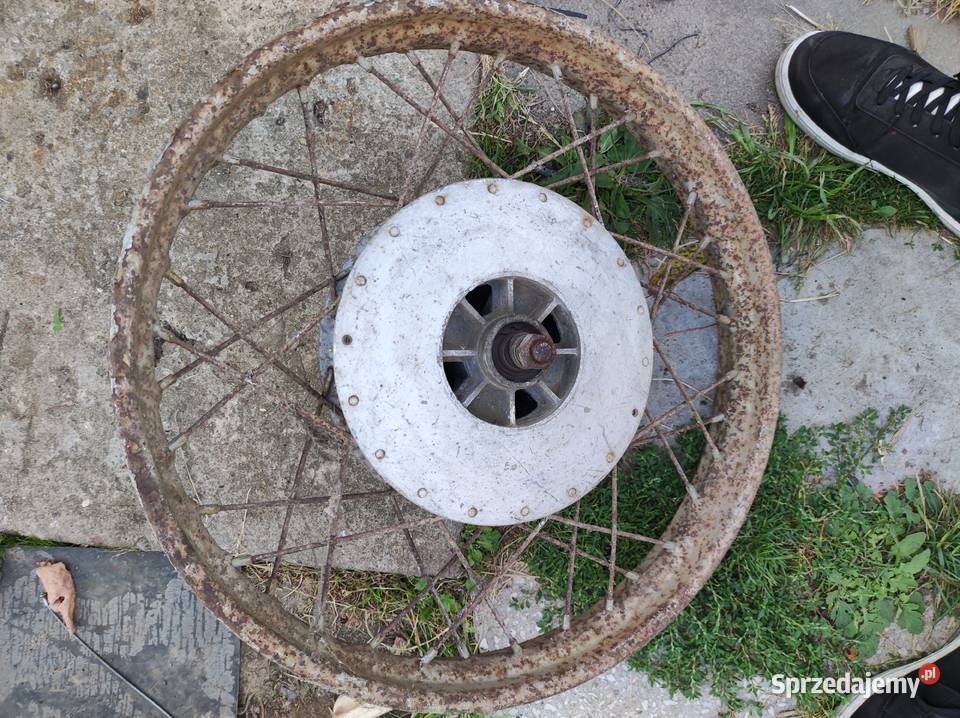 Koło do panoni łódzkie