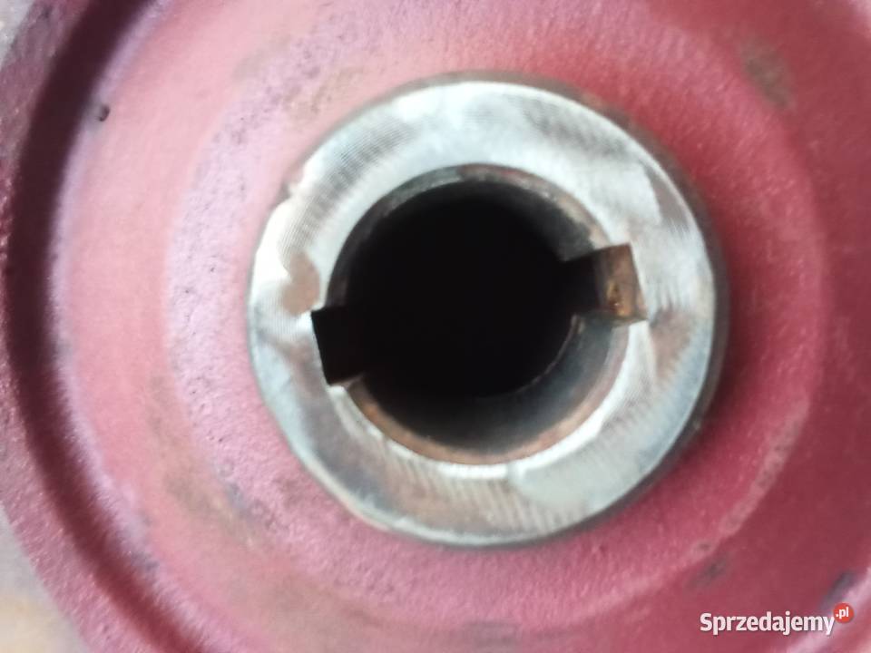 Bizom Rekord 56 koło pasowe napędu hedera Horodło