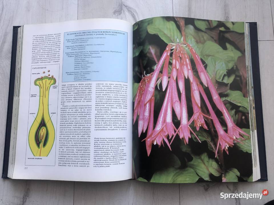 Historia naturalna Botanika Wyd Muza Łódź