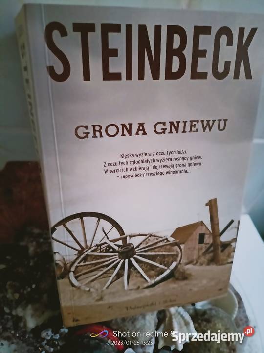 Grona gniewu książki Warszawa księgarnia Praga literatura piękna - proza zagraniczna Proza i poezja mazowieckie