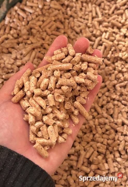 Podłoże gryzoni naturalny PELLET żwirek kota Dla kotów Opole