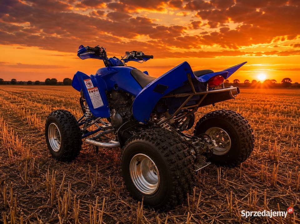 Yamaha Raptor 350 Wielgie