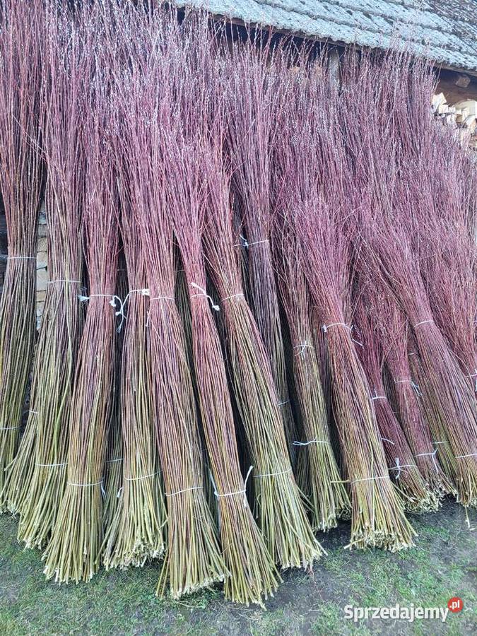 Wiklina sortowana Kopki sprzedam