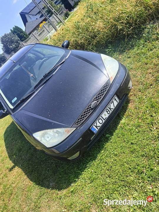 Ford Focus Waśniów