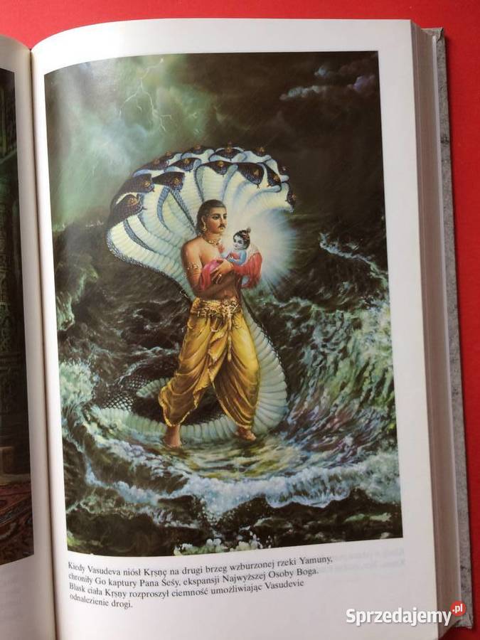 2890 Źródło Wiecznej Przyjemności Szczecin