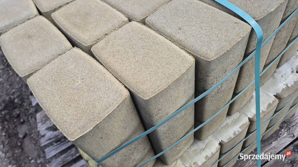 Palisada ogrodowa Hryniewicze