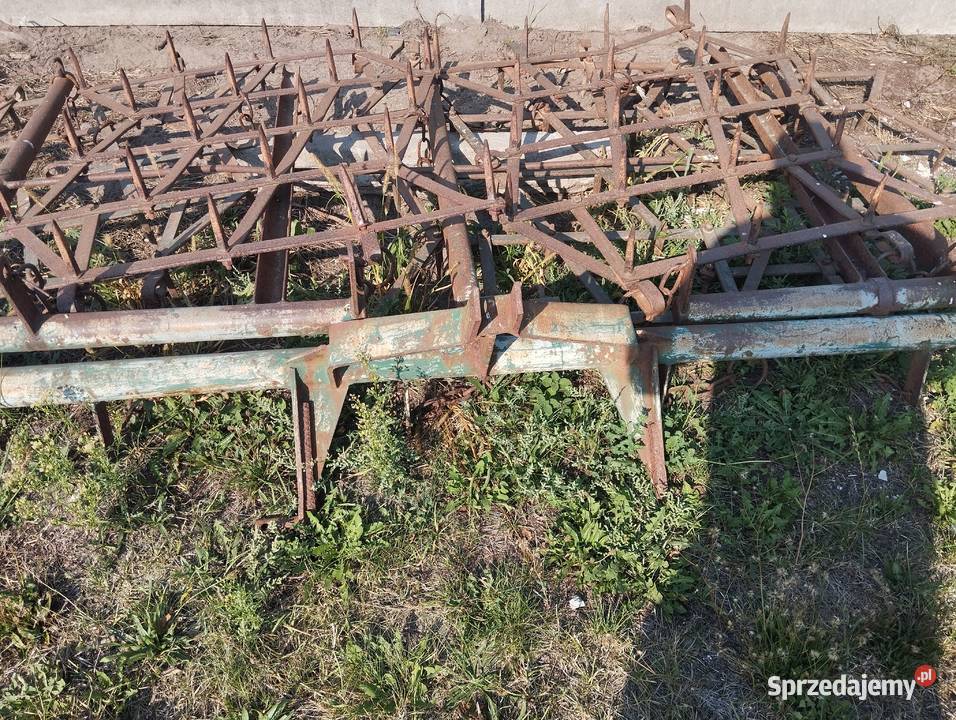 Sprzedam brony Grudziądz 5 Brony świętokrzyskie Wilkowa