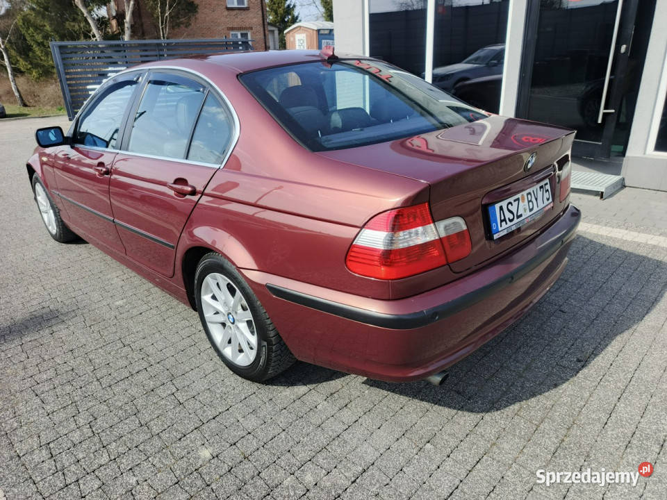 BMW 316 Zadbana Dobrze wyposażona E46 19982007 nieuszkodzony Chełm