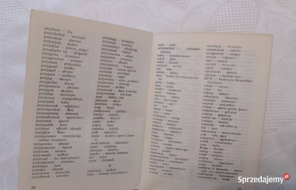 Turystyczny SŁOWNICZEK polsko esperancki Oborniki sprzedam