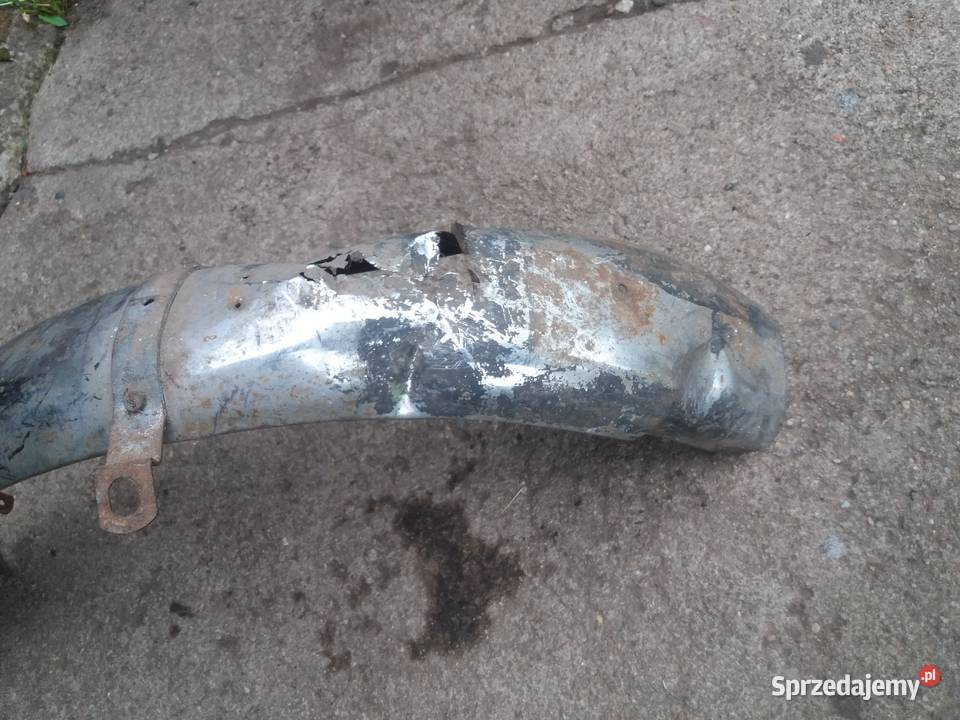 Błotniki Wsk sport lelek dudek kos bąk wielkopolskie