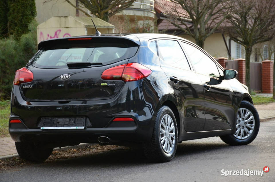 Kia Ceed Zarejestrowana 16GDi 135 Serwis Navi nieuszkodzony