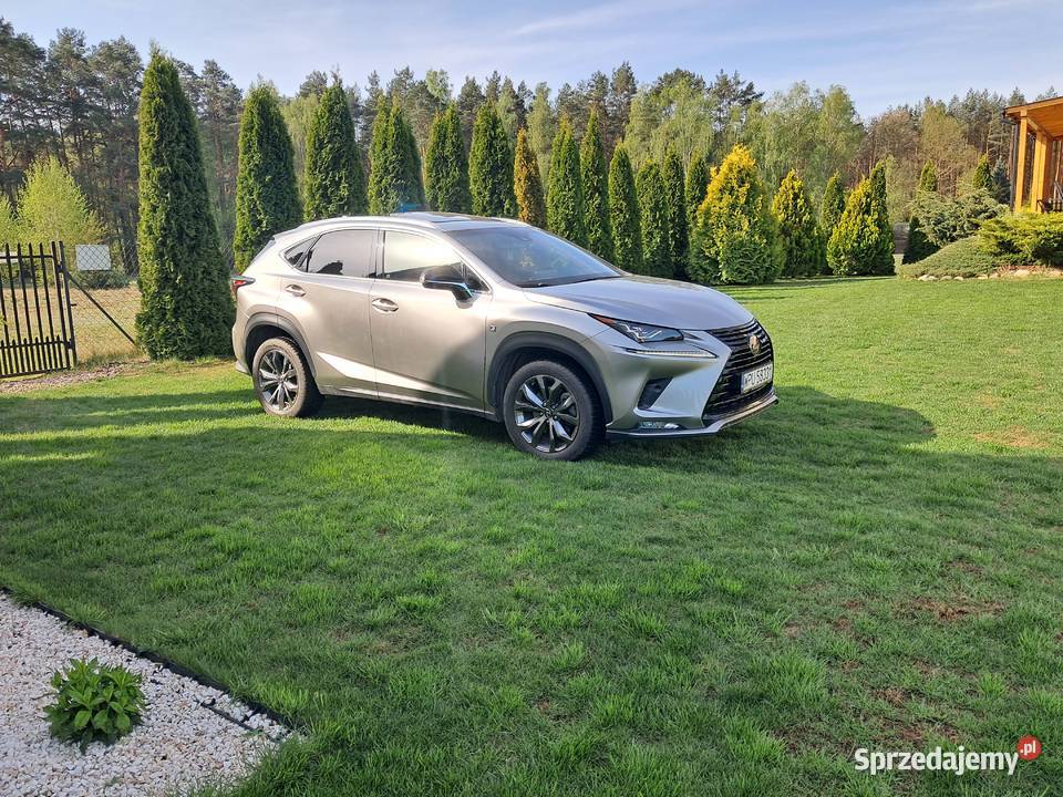 Lexus Nx 300 Fsport 2019 NX Serock