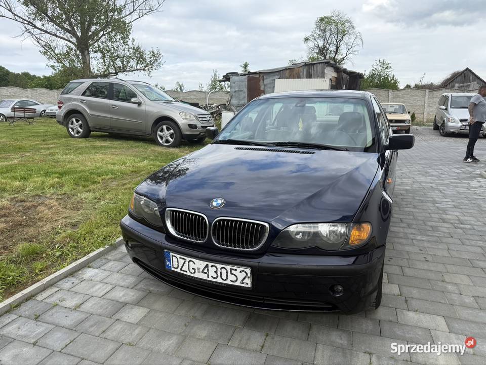 Bmw E46 318i nieuszkodzony Zgorzelec