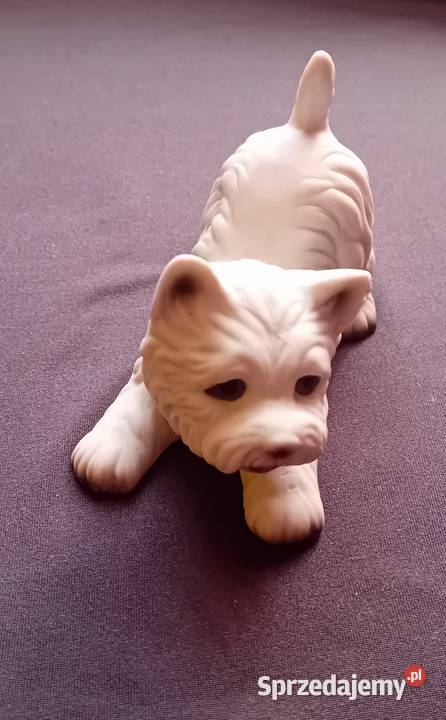 Figurka z porcelany biskwitowej pies West sprzedam