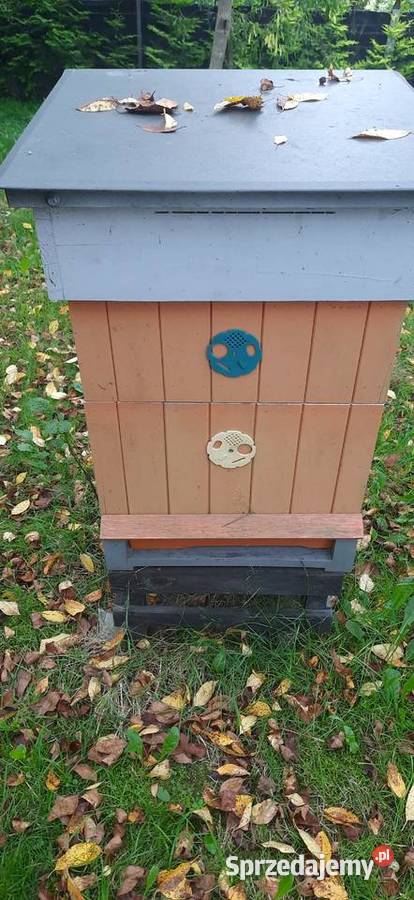 Ule wielkopolskie lubelskie Tomaszów Lubelski
