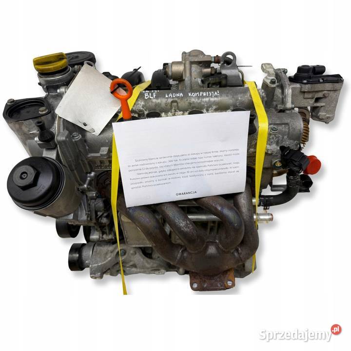 SILNIK Audi A3 8P Skoda Octavia II 16 FSI 115 Rudka