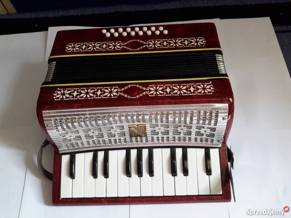 Mały akordeon świętokrzyskie Staszów