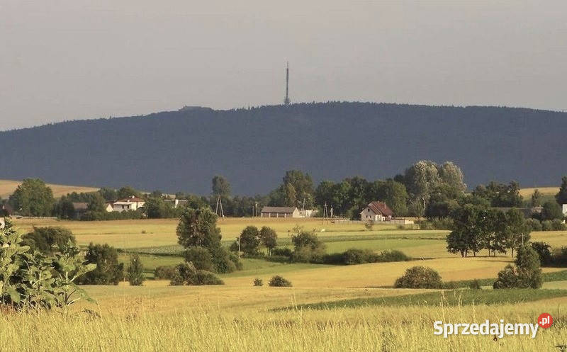 Dombud gospduża działka garaż Sprzedaż