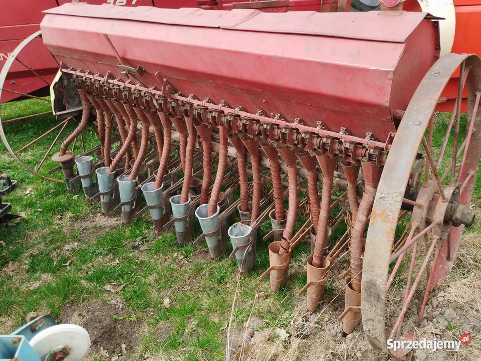 Siewniki 21 redlic świętokrzyskie Radoszyce