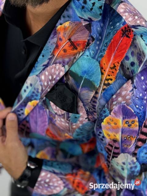 GIOVANNI PERA Marynarka męska D630 kolorowa w Rozmiar L Ostrów Wielkopolski sprzedam