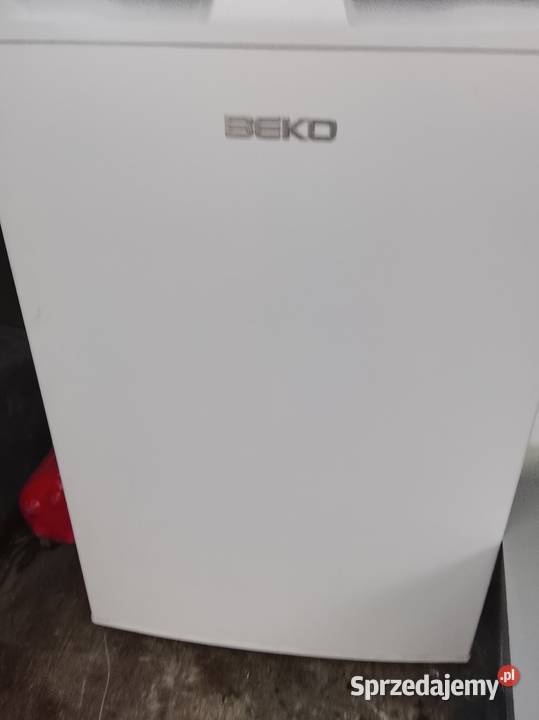 Lodówka z zamrazalnikiem Brzeźno