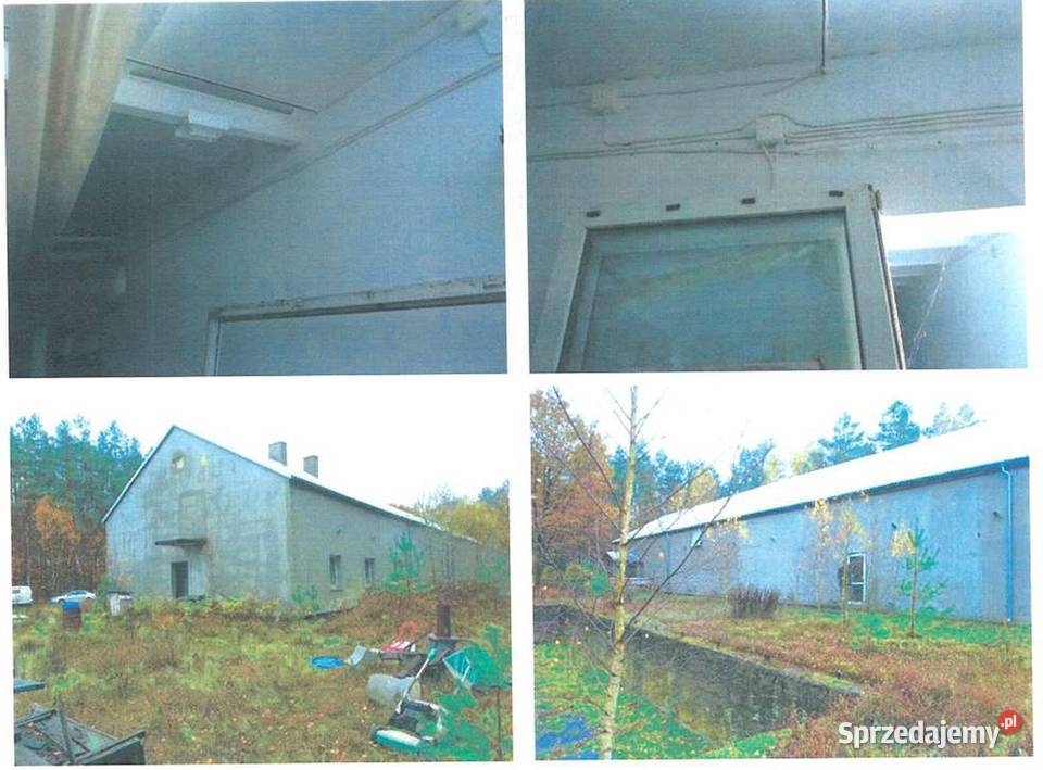 Nieruchomość Wąpiersk dz 4301