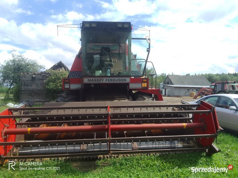Massey Ferguson xp29 nieuszkodzony Knorozy