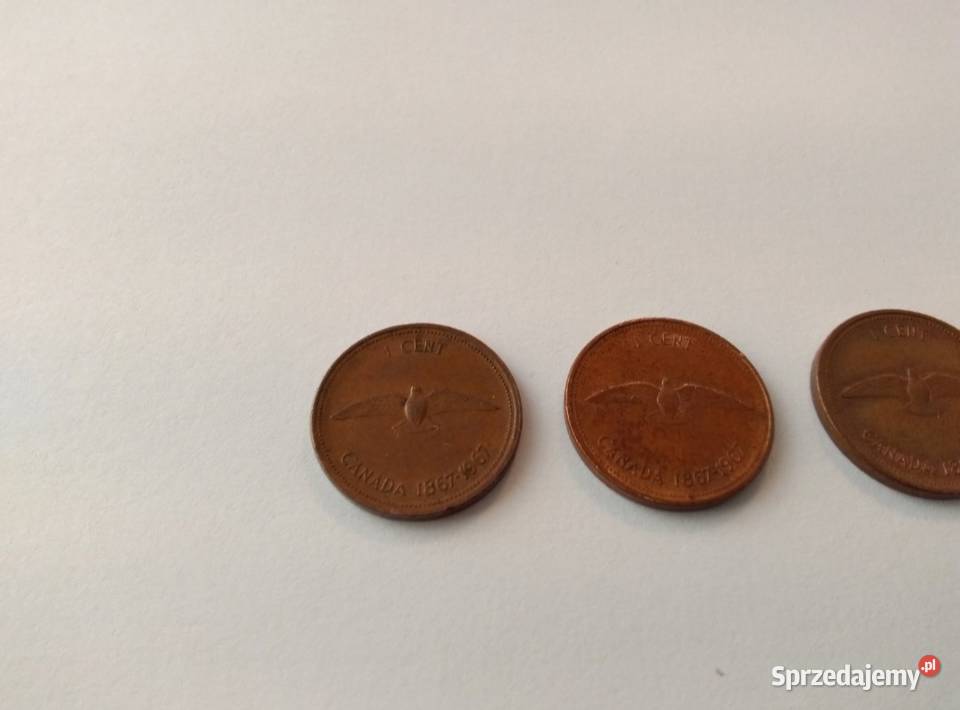 1 Cent Canada 1967r 100 Lat Kanada Gołąb Mewa Numizmatyka Radom