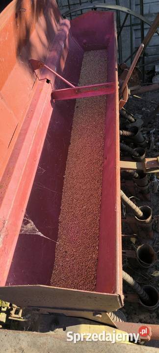 Siewnik zbożowy Morawica