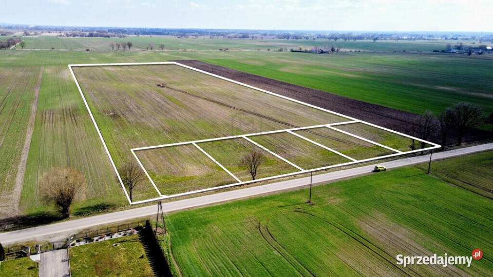 Grunt 449 ha z koncepcją 5 domów Jenin budowlana Sprzedaż