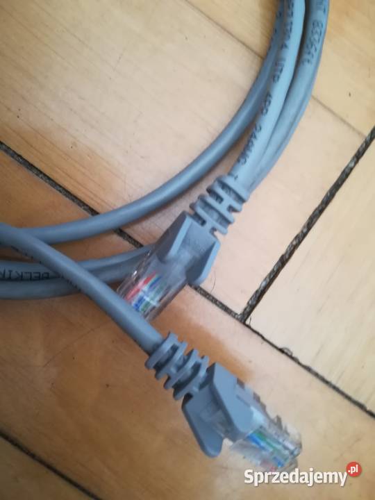 Kabel sieciowy Ethernet 2m BELKIN 2x RJ45 kable i wtyczki Internet i komunikacja