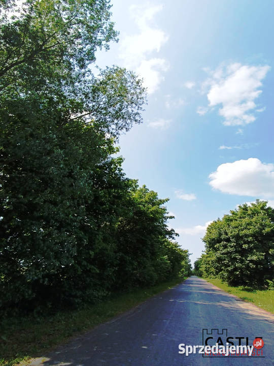 Groszkowo I Mierzeja Wiślana I działka pod