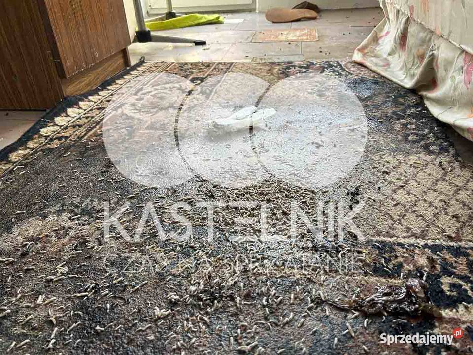 Dezynfekcja i sprzątanie zgonach Muszyna