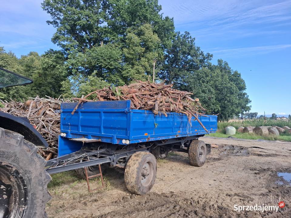 Przyczepa HL 8011 Żory