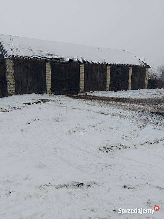 Siedlisko we wsi Krasówka