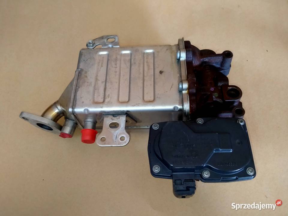 VW CRAFTER MAN TGE ZAWÓR EGR Kargowa