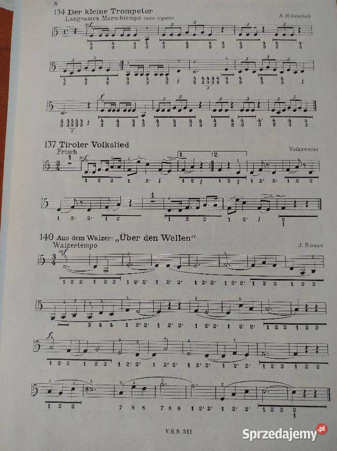 Kurs gry na harmonijce ręcznej Nauka gry na instrumentach Usługi Żory
