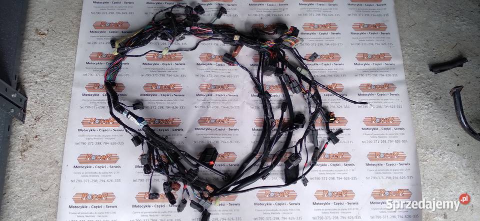 Instalacja elektryczna wiązka Triumph Tiger 900 Jawiszowice