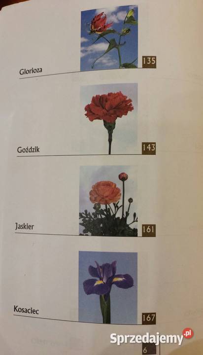 Kwiaty cięte uprawiane pod osłonami Marek Jerzy Wrocław