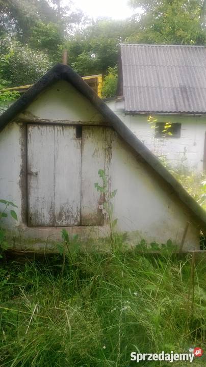 Domek w lesie Domy Nieruchomości Grabowce Dolne