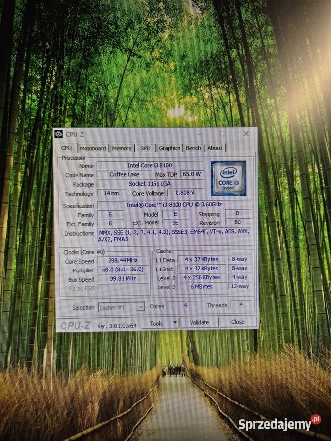 Komputer stacjonarny Intel Core i38100 8 GB DDR4 Pozostałe Ruda Śląska