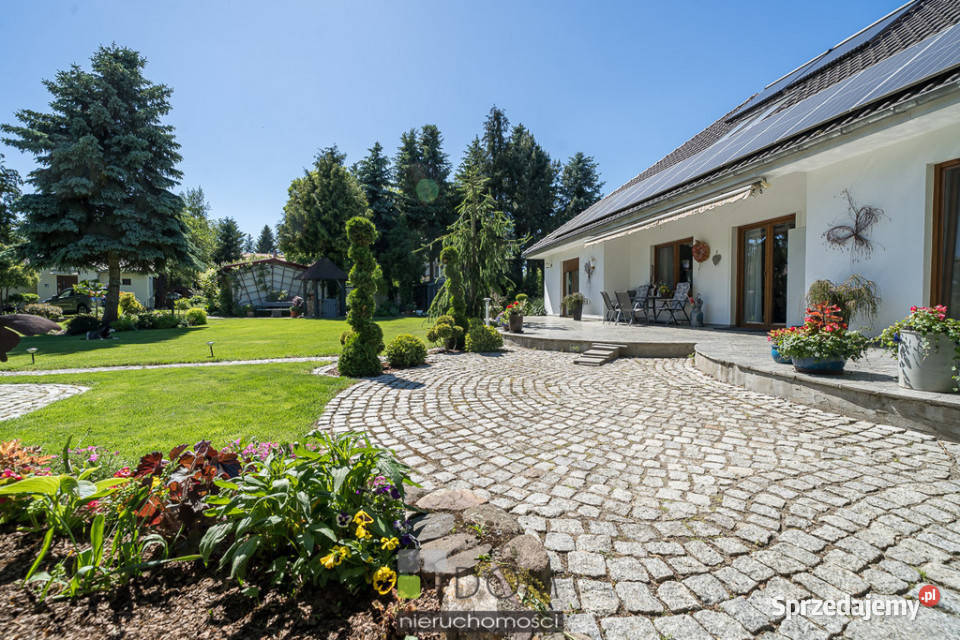 Dom wolnostojący 28958m2 Ośno Lubuskie