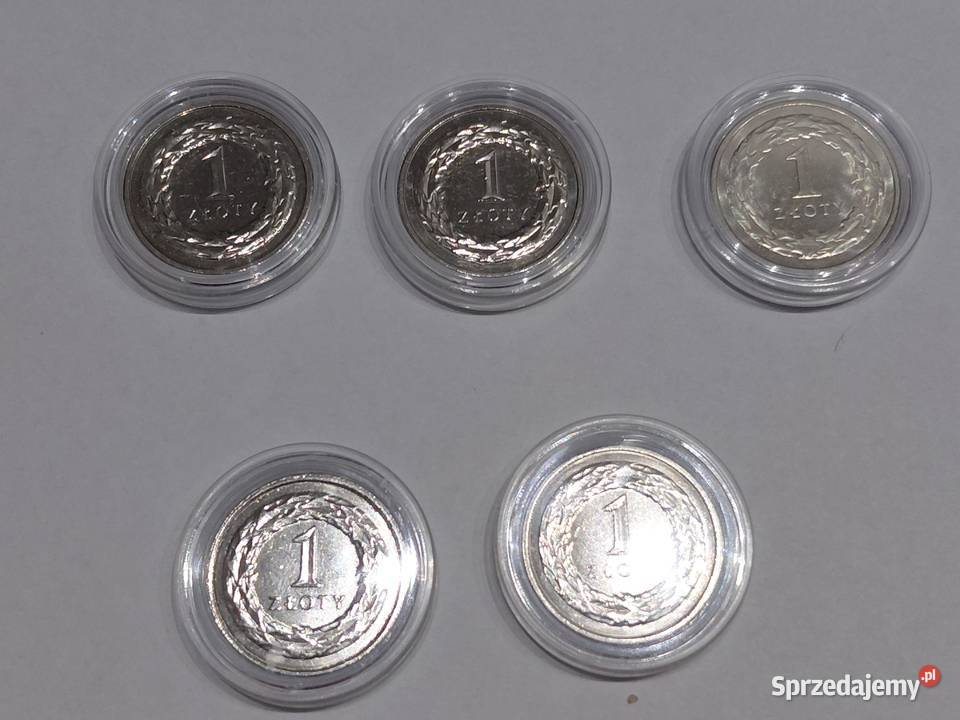 Monety obiegowe 1 złoty NBP Numizmatyka kujawsko-pomorskie