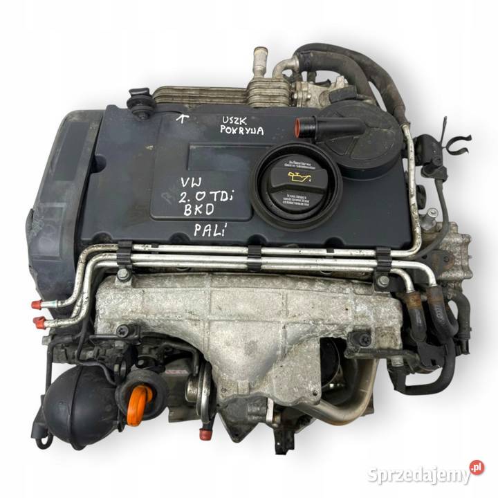 SILNIK BKD VW Golf V Jetta III Touran Skoda Chełm