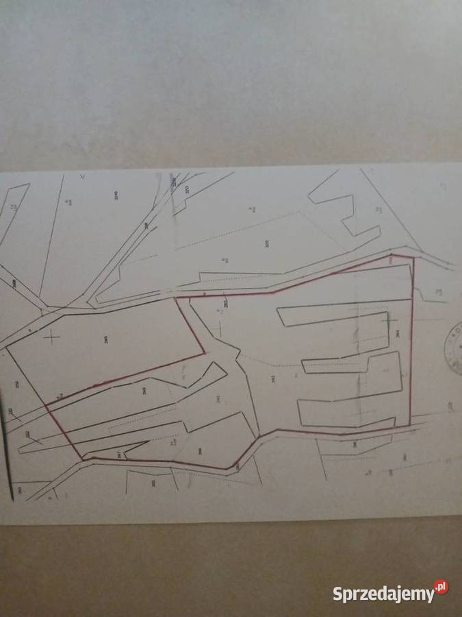 Sprzedam nieruchomosc Rzyki