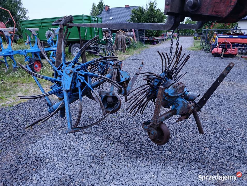 Kopaczka schmotzer Kopaczki mazowieckie Rawica Stara