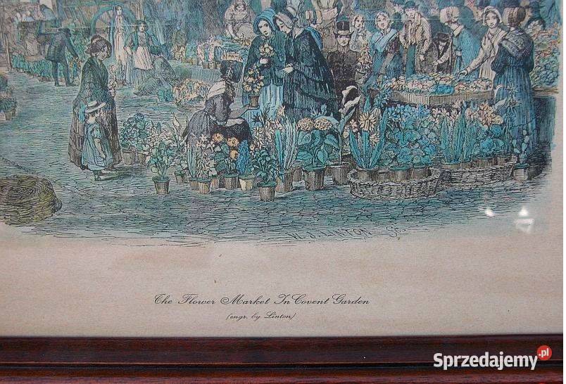 obrazy obraz kwiaty i inne tanio