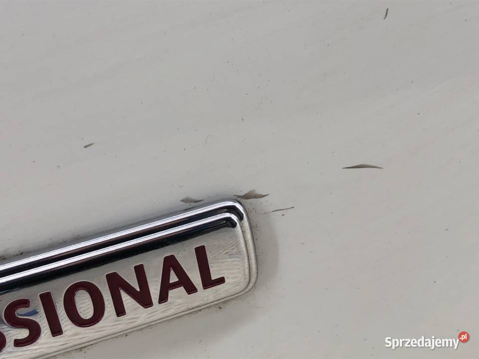 DRZWI TYLNE LEWE FIAT DOBLO II Minivan BIAŁY