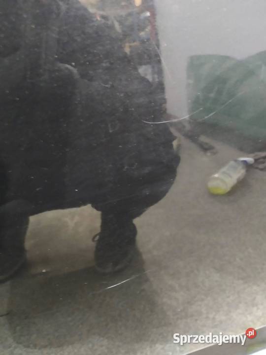 DRZWI LEWE PRZÓD LC9Z VW Volkswagen Touareg I Rok produkcji 2008