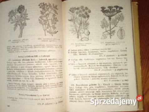 Przewodnik do oznaczania roślin biologia, ekologia Książki naukowe i popularnonaukowe łódzkie Łódź